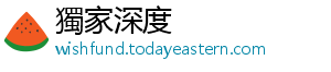 獨家深度